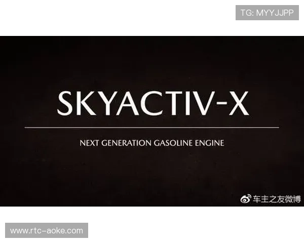 VAR技术持续应用于德甲,争议中不断完善